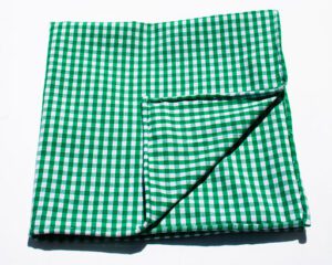 Green Gingham fabric example